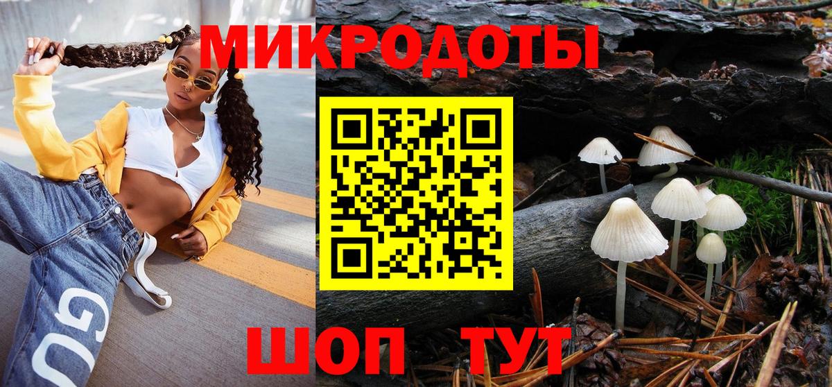 Псилоцибиновые грибы GOLDEN TEACHER Камень-на-Оби