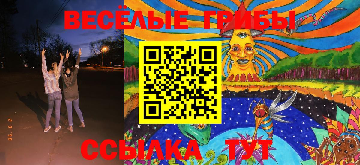 Камень-на-Оби  Псилоцибиновые грибы Magic Shrooms  Вход с VPN 
